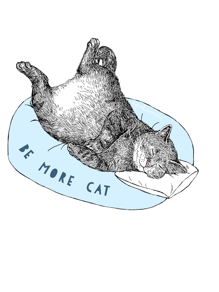 Be More Cat