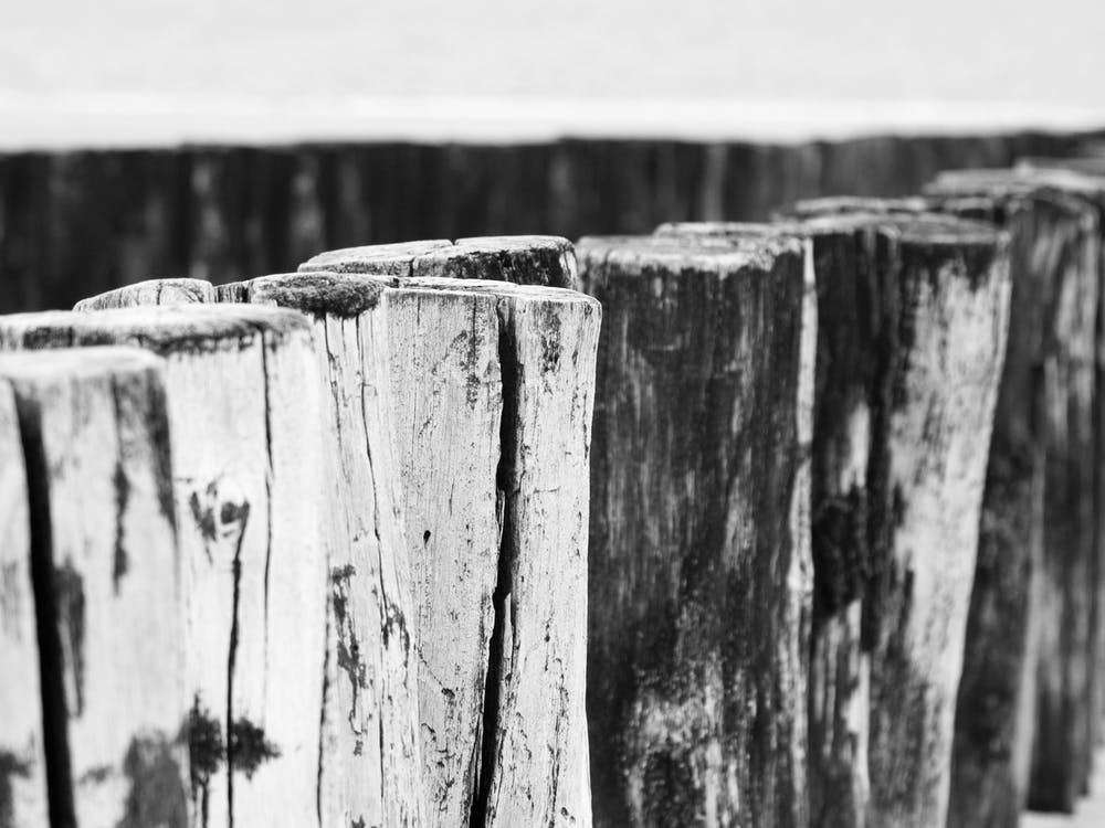 Dutch pile heads on the beach // Travel Photography