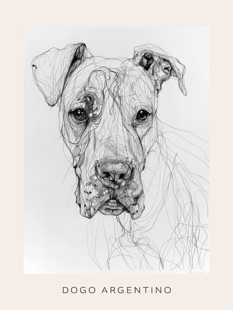 Dogo Argentino Dog Line Sketch 3 Poster