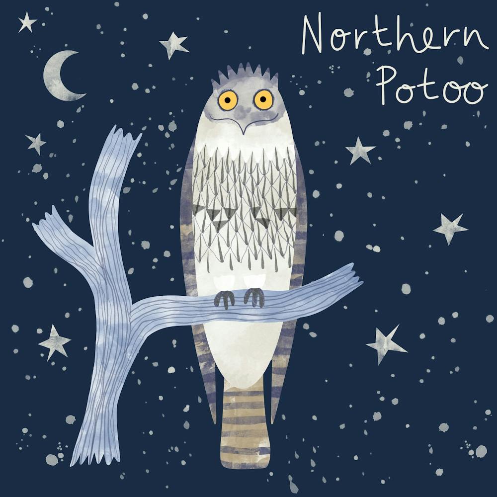 Northern Potoo Bird