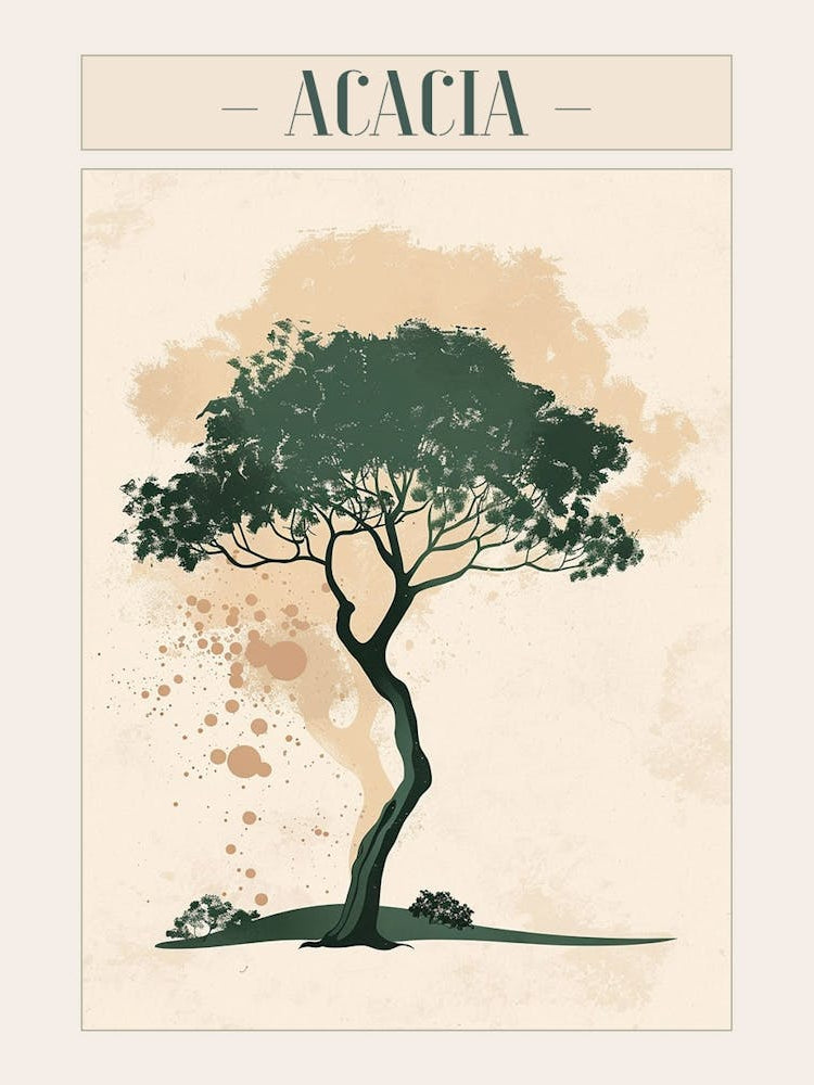 Acacia Tree Minimal Japandi Illustration 2 Poster