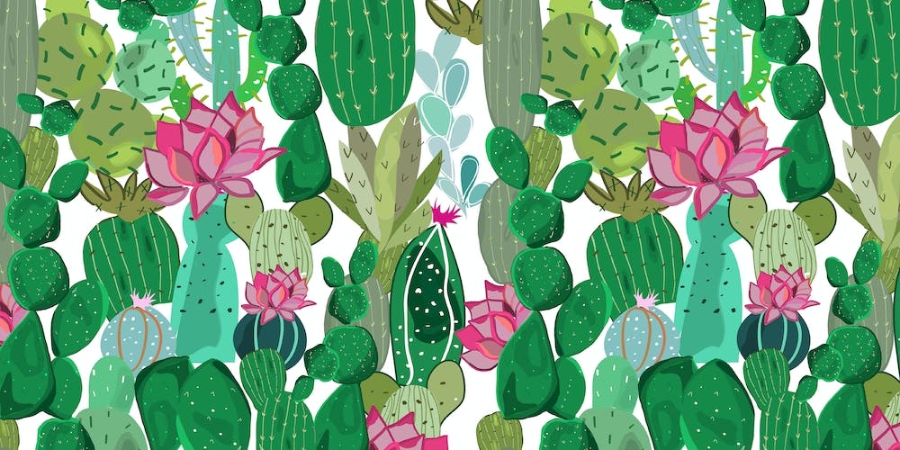 Cactus And Succulent Tropical Flowers Pattern