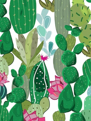 Cactus And Succulent Tropical Flowers Pattern