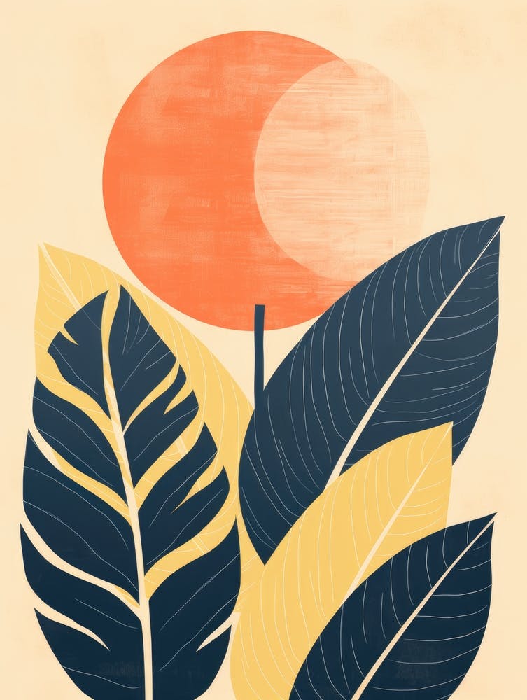 'Sunrise' 7