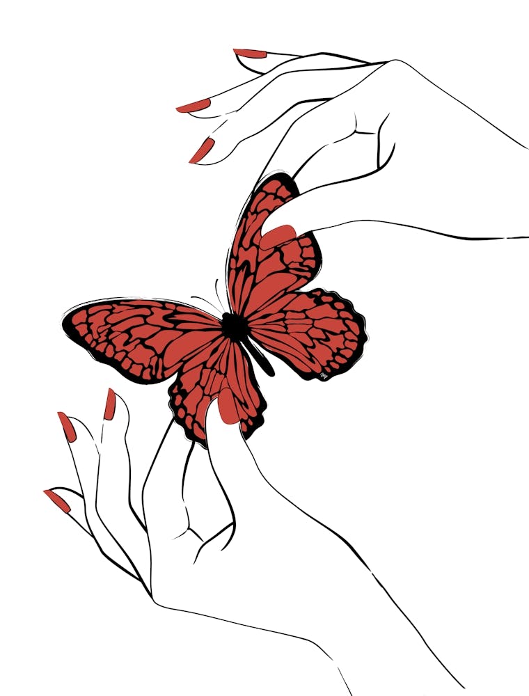 Holding Butterfly White