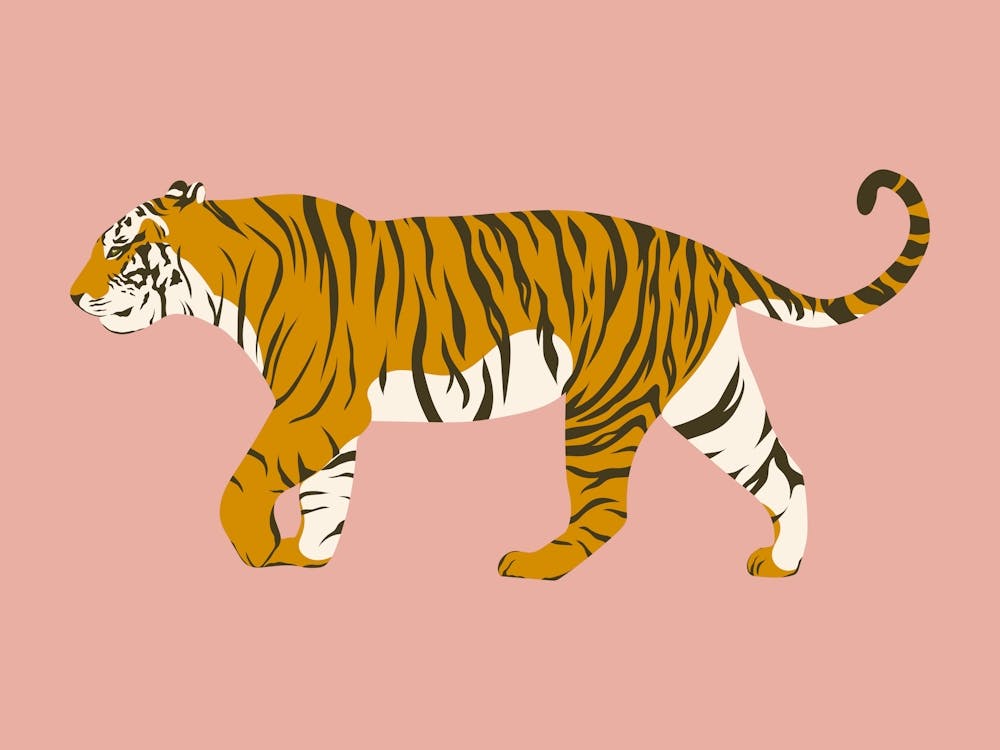 Waling Tiger - Pink