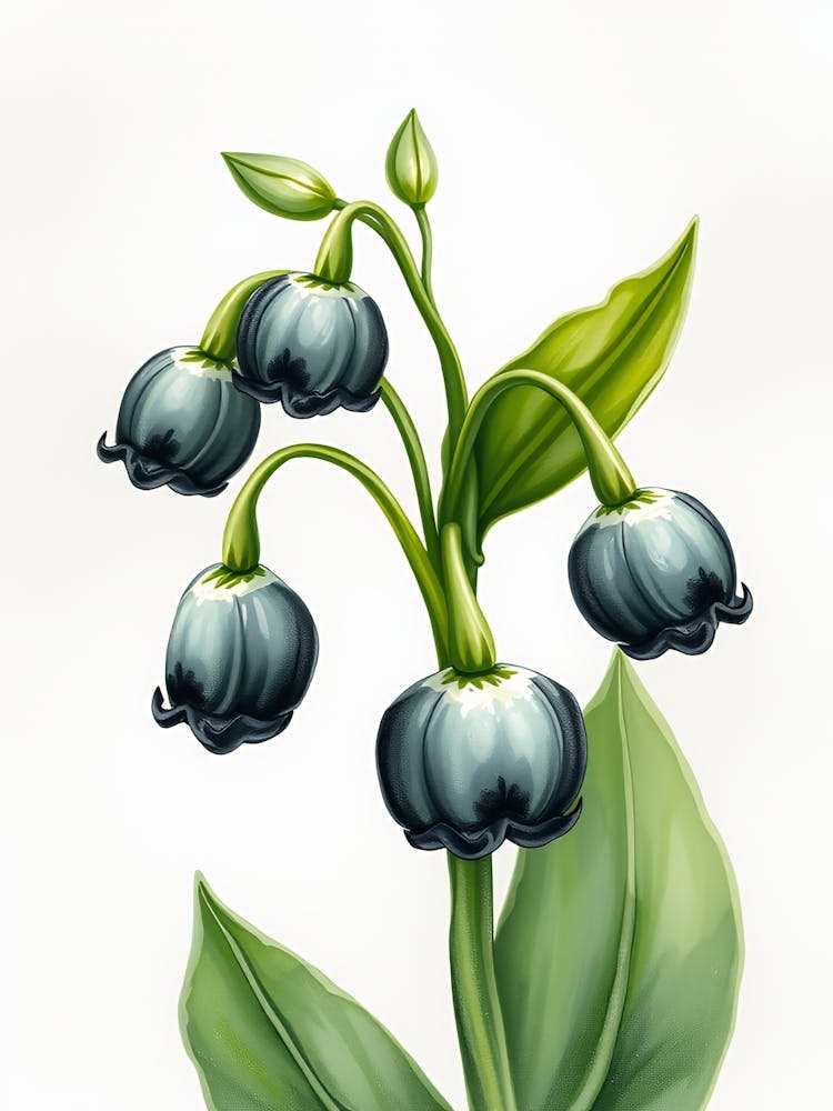 Lily Of The Valley 21
