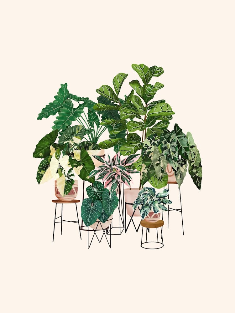 Plant Friends 10