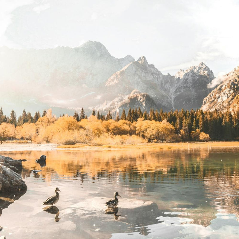 Autumn in the Italian Alps