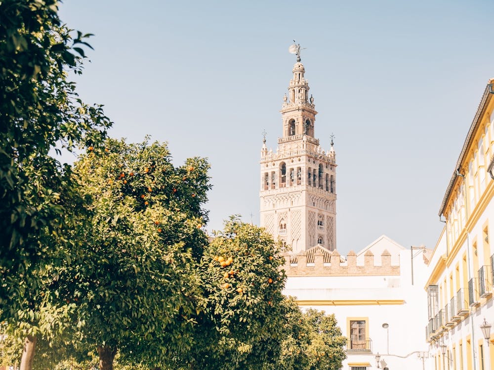 Royal Palace Sevilla