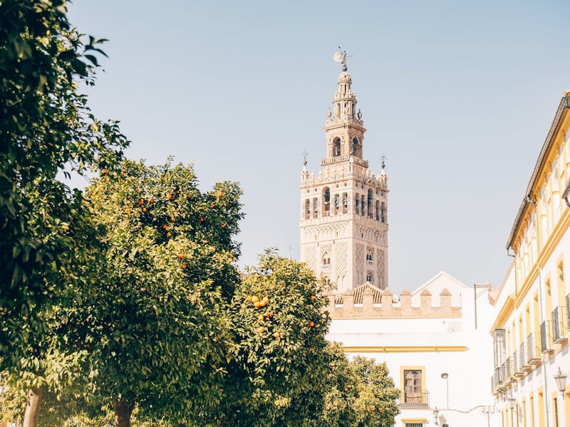 Royal Palace Sevilla