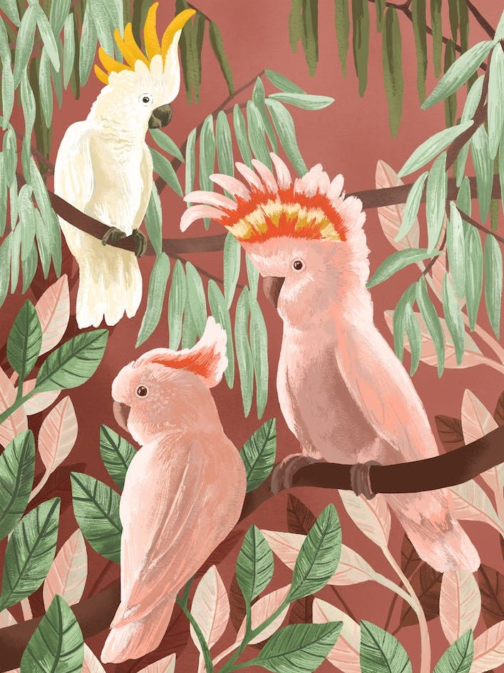 Cockatoos