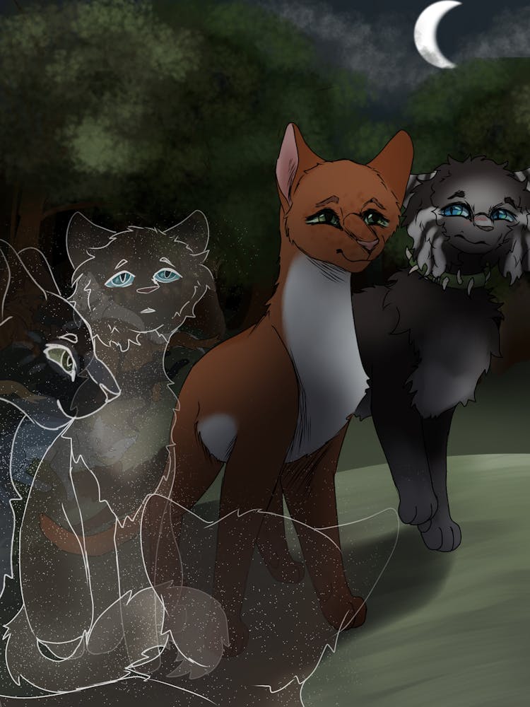 Three Cats At Night