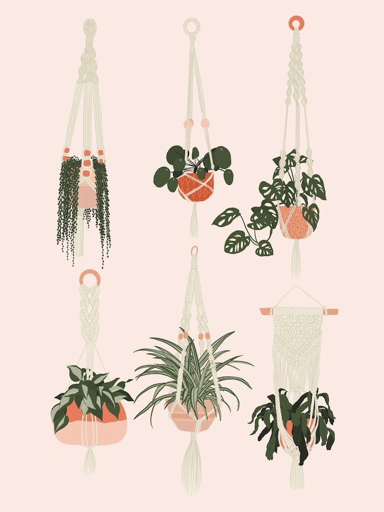 Hanging Houseplants Print