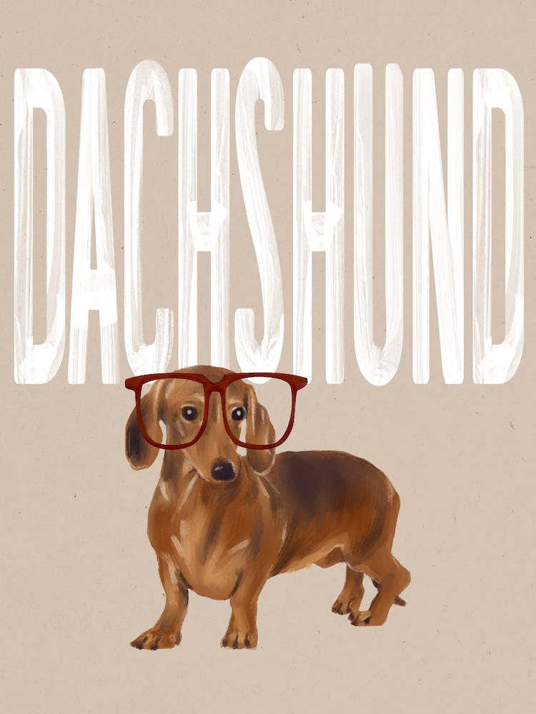 Dachshund Template