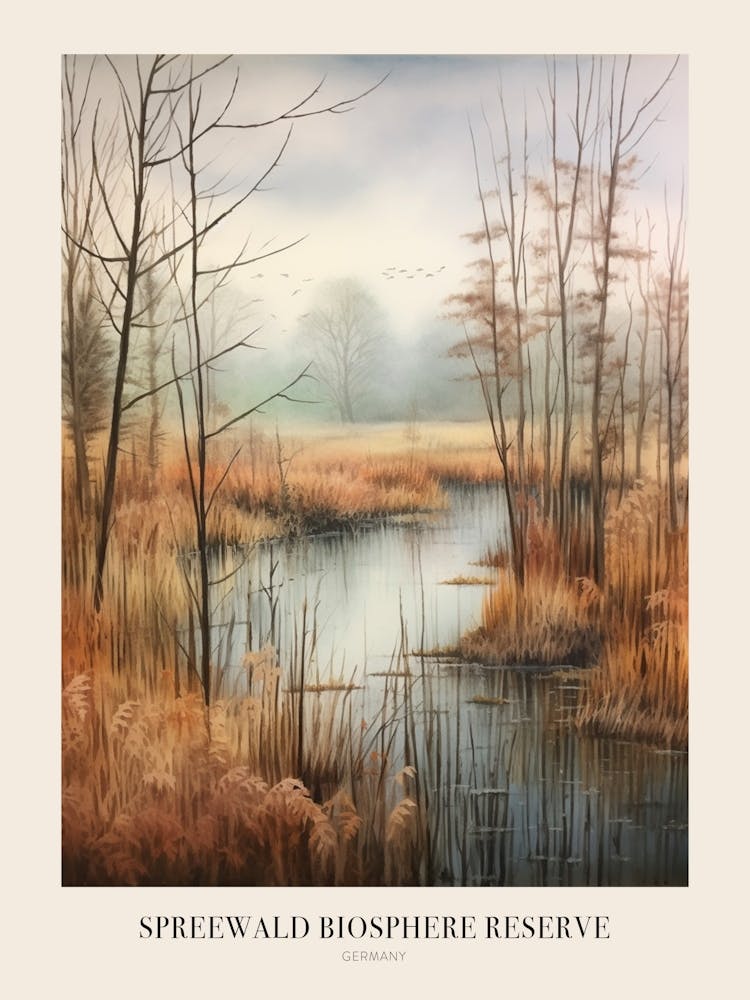 Paysage Forestier d'Automne Réserve de Biosphère de Spreewald Allemagne Affiche