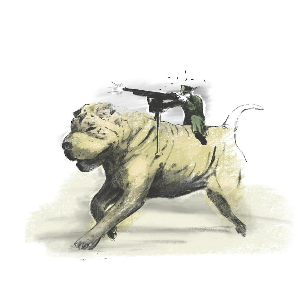 Battle dog, soldier, illustration, wall art