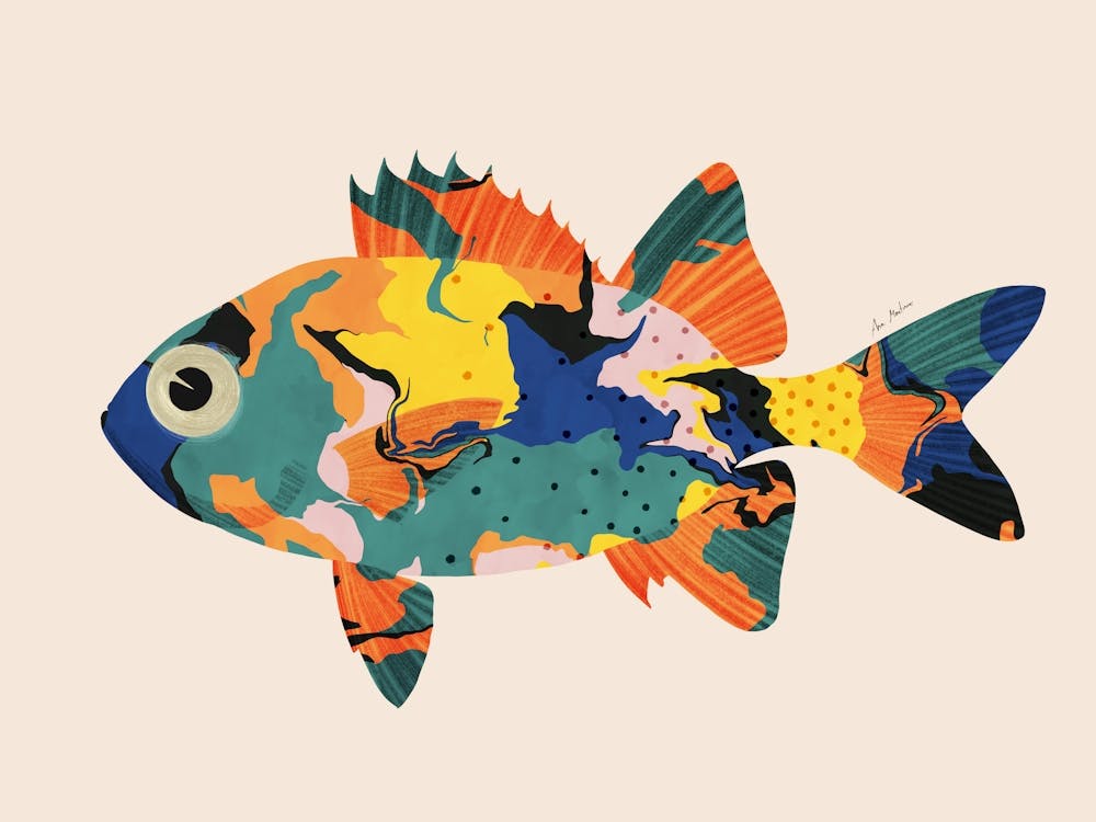 Colorful Fish