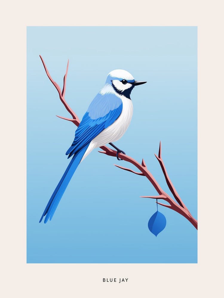 Minimalist Blue Jay 2 Bird Poster
