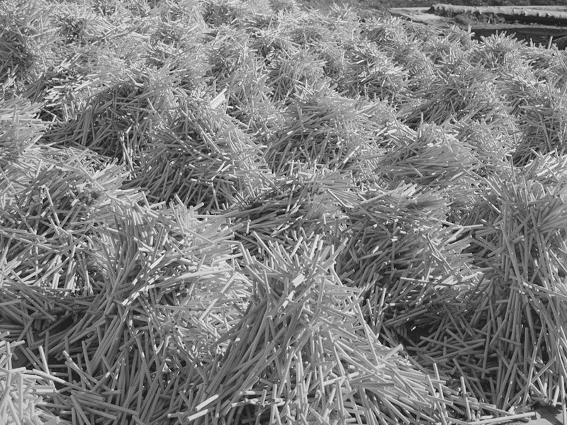 Pile Of Mill Turned Sticks Near Bridgewater, Vermont By Russell Lee