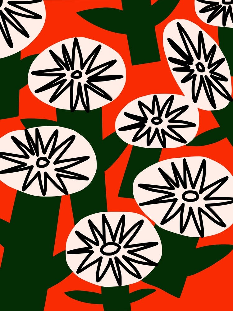 Whimsical Star Bloom