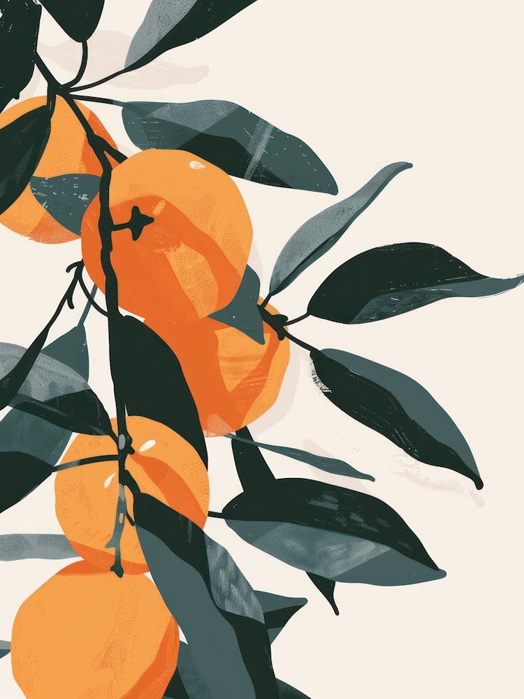 Clementinen Nahaufnahme Illustration 4