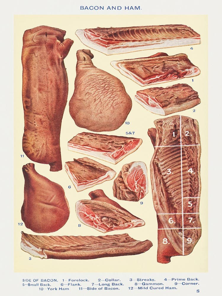 Speck und Schinken, Seite vom Speck