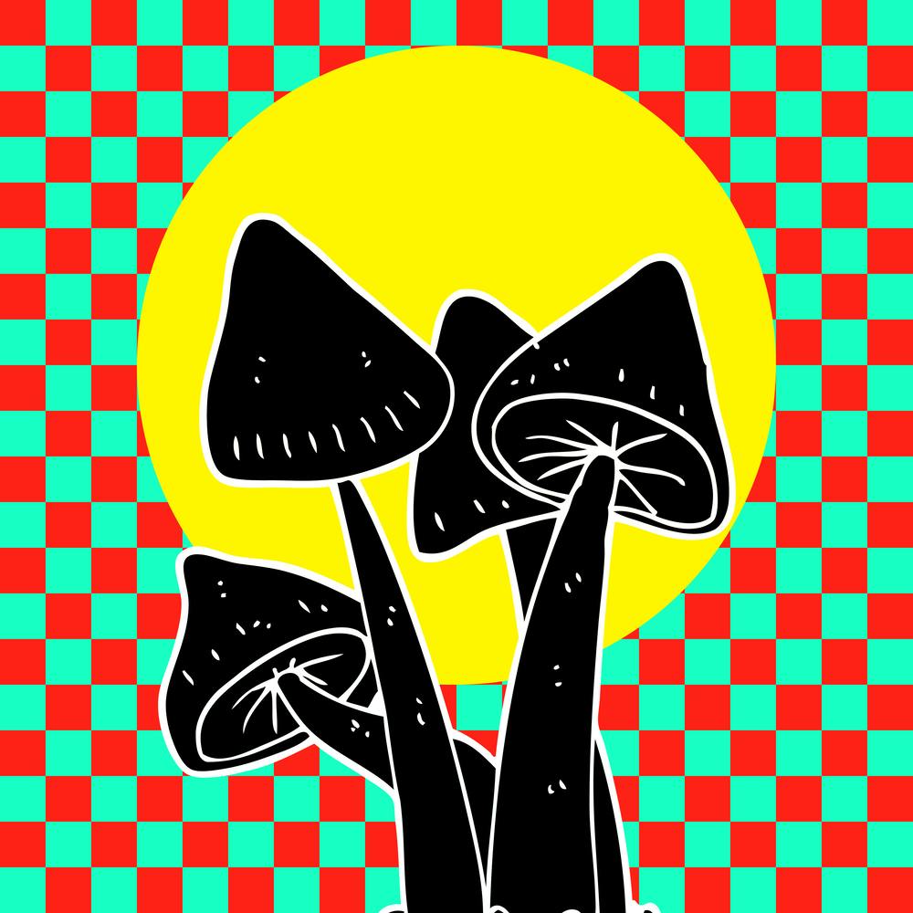 Classic Mushrooms On A Checkered Background