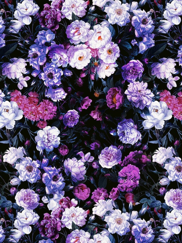 Rose Garden   Night 3