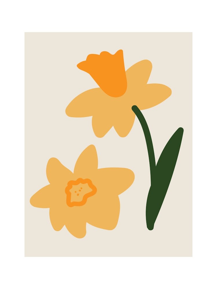 Daffodils
