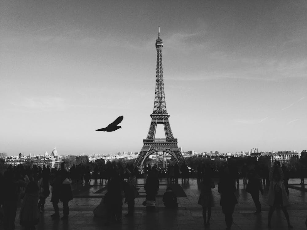 Eiffel Tower in black and white Art print