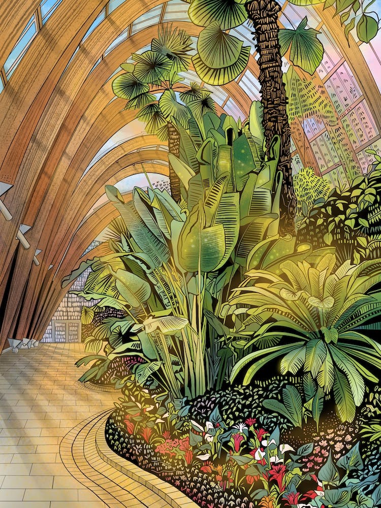 Sheffield Winter Gardens Day