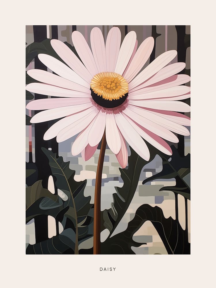 Blumenillustration Gänseblümchen 4 Poster
