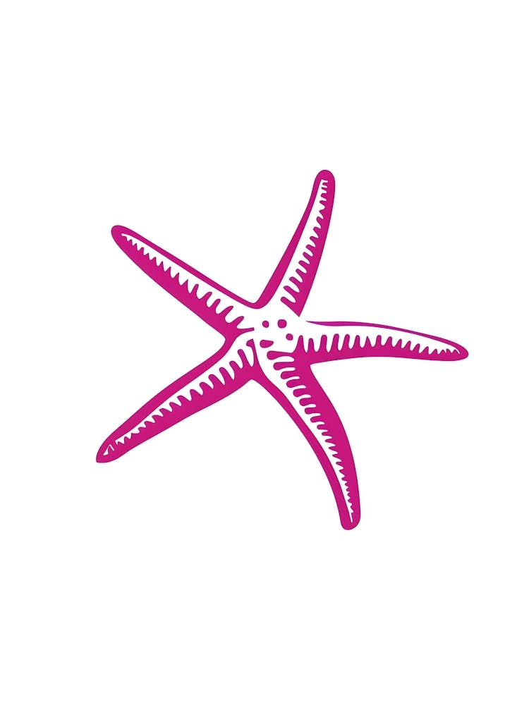 Starfish 26