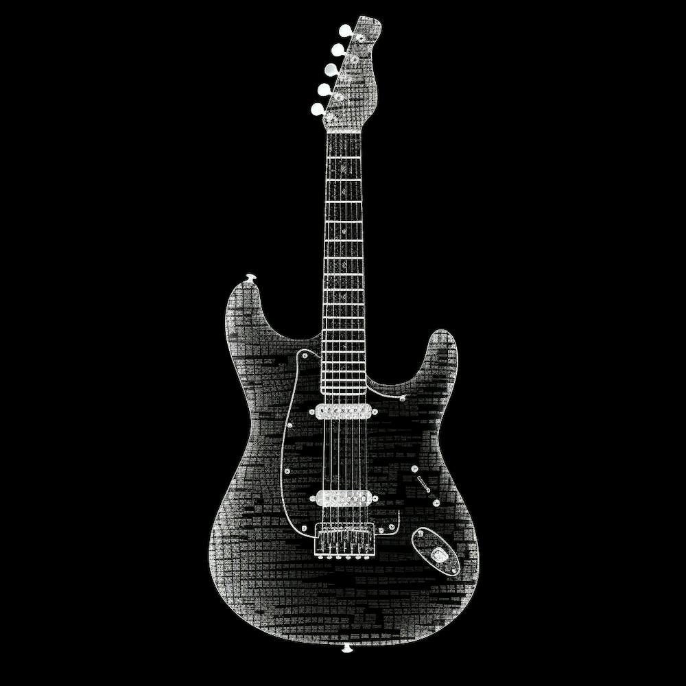 Guitare électrique noire et blanche
