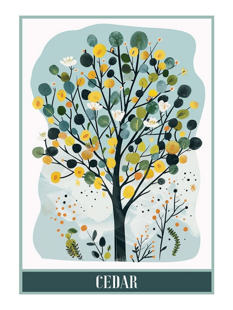 Cedar Tree Flat Illustration 2 Poster