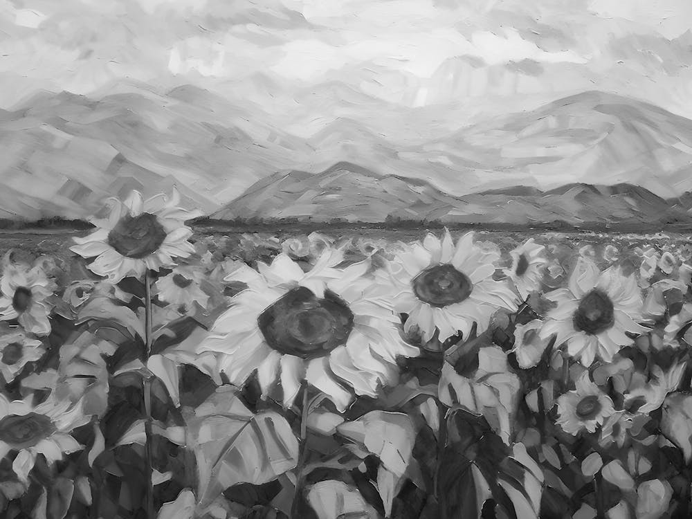 Sunflowers In The Mountains