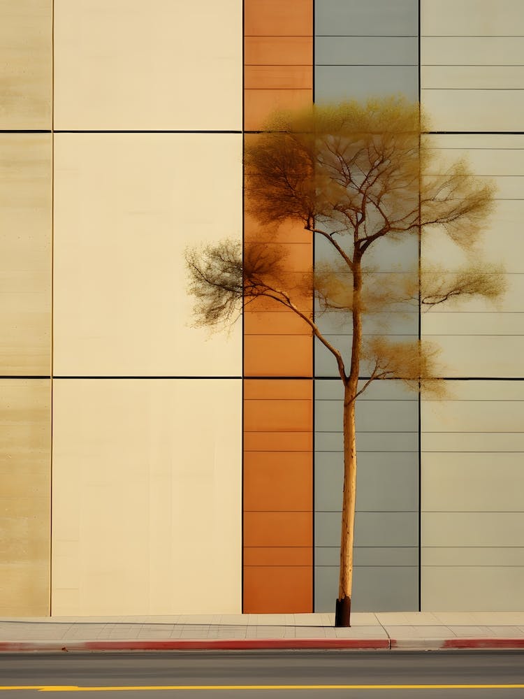 Lone Tree In Front Of Building