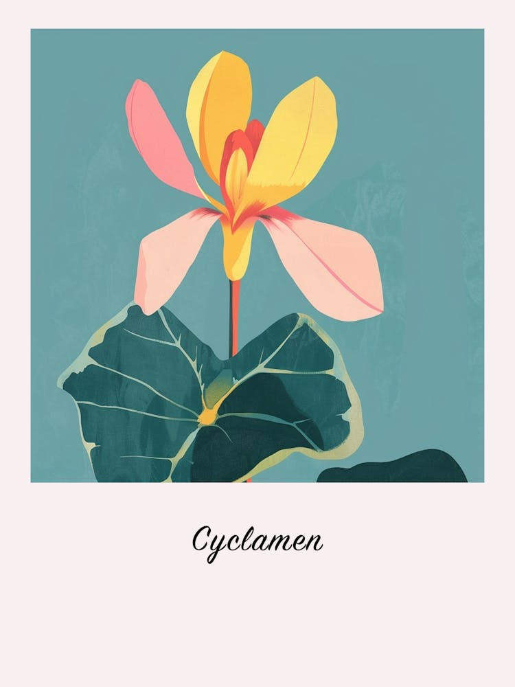 Alpenveilchen 2 Quadratische Blumenillustration Poster
