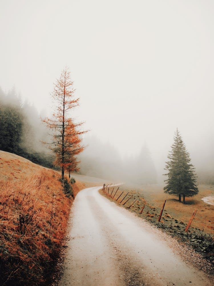 Route de Montagne Brumeuse