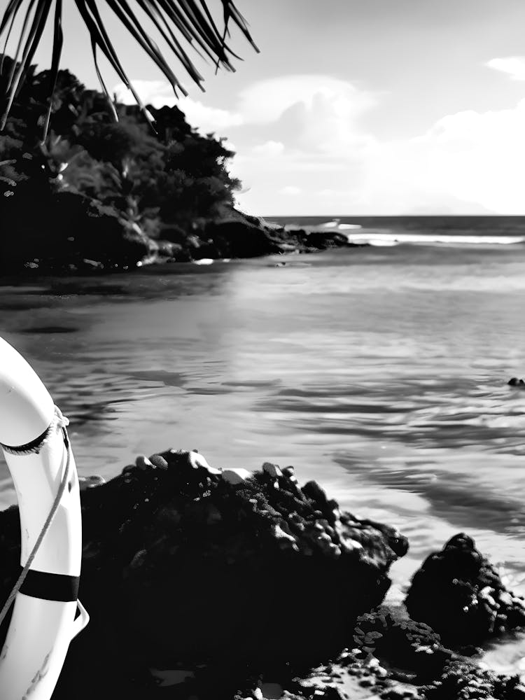 Life Preserver On The Beach 1