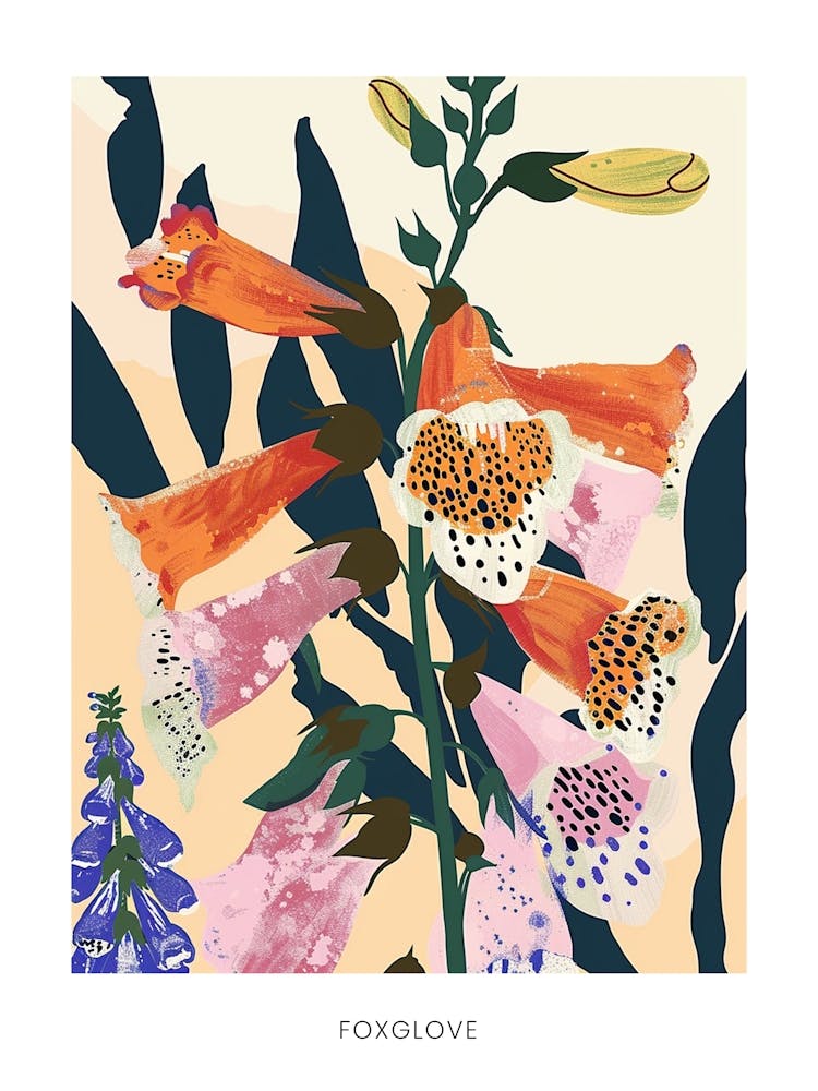 Colourful Flower Illustration Poster Foxglove 2