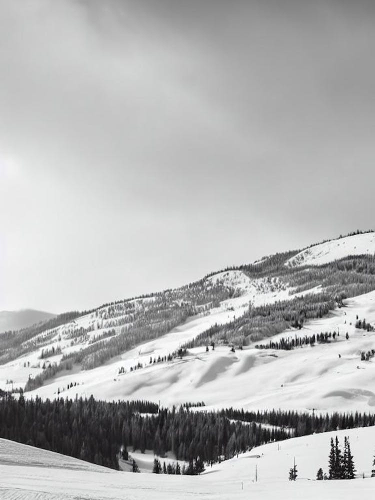 Copper Mountain, Usa Black And White Skiing Poster