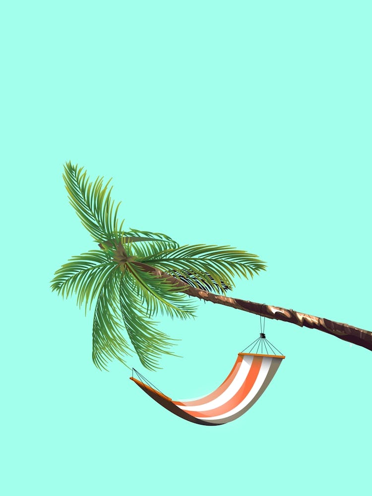 Palm Tree With Hammock