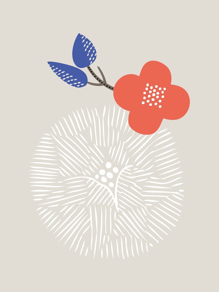 Orange Chrysanthemum