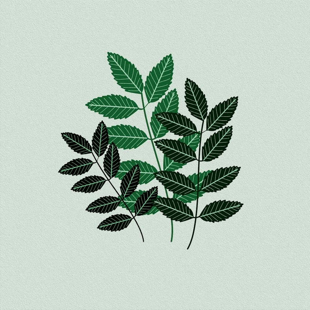 Leaves Branche Plant Botanical Boho Bohemian Style Retro Vintage