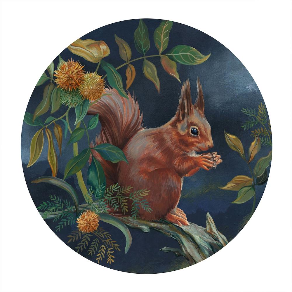 Squirrel