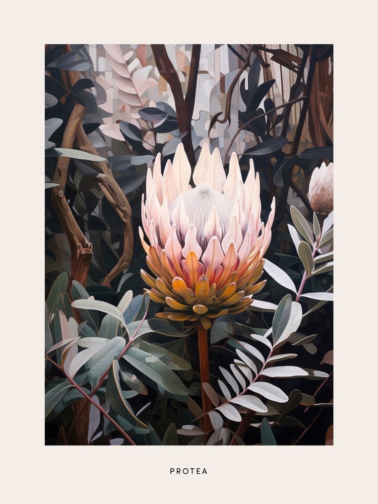 Flower Illustration Protea 8 Poster