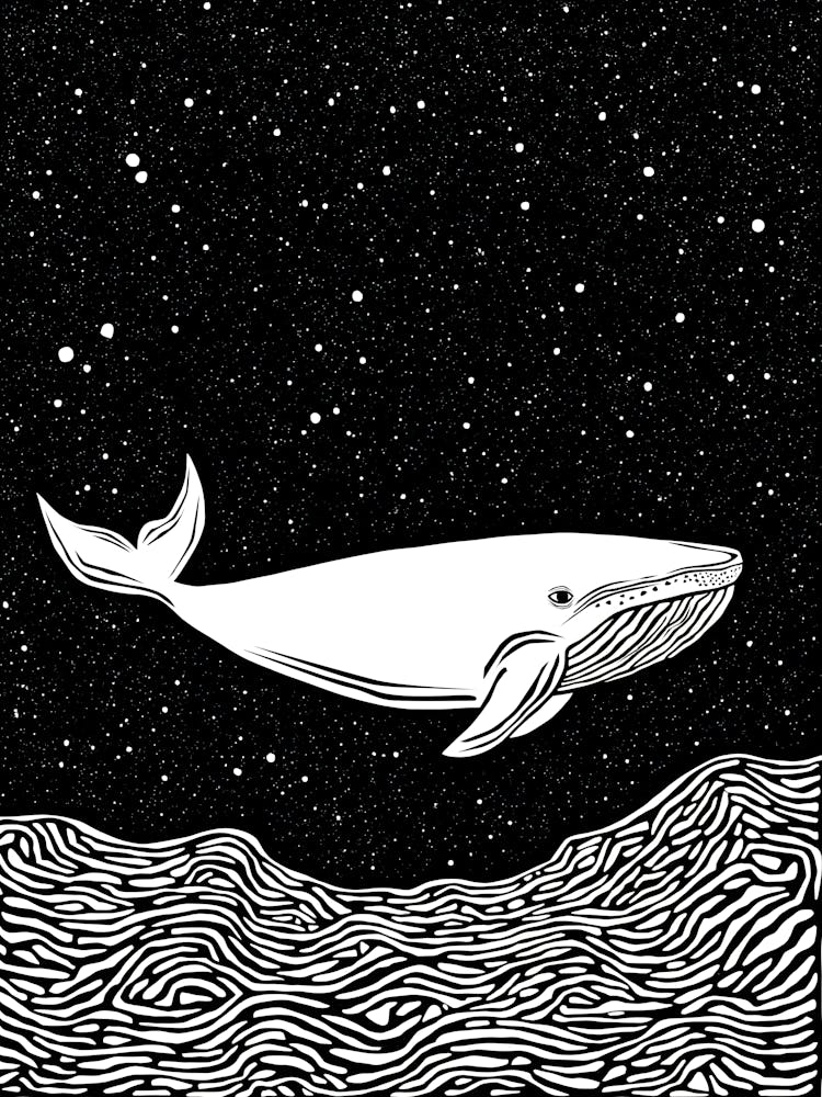 Whale In The Night Sky