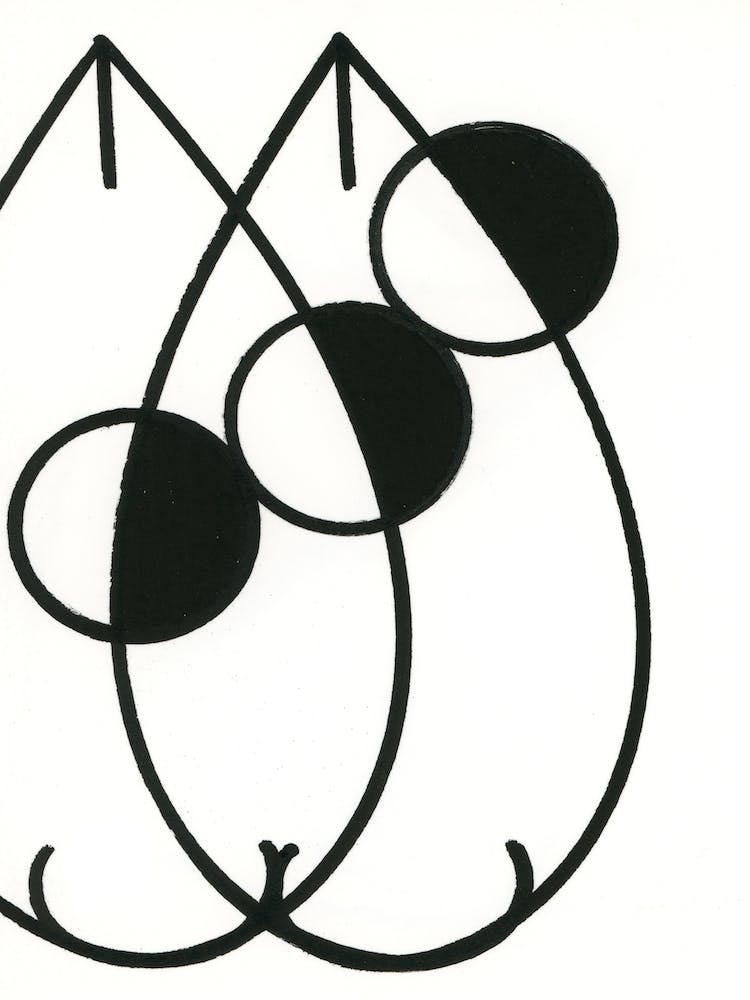 Fish Culture 6